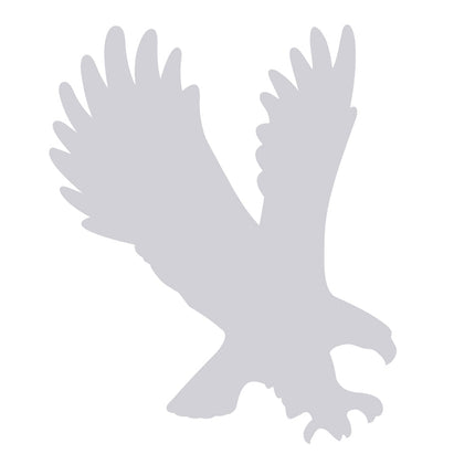 Collection image for: Eagle