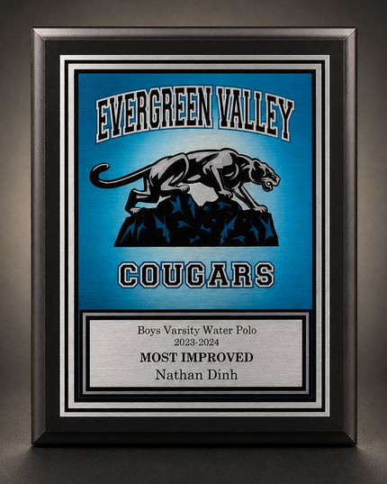 Alviso Vivicolor matte black plaque with vivicolor image sublimation