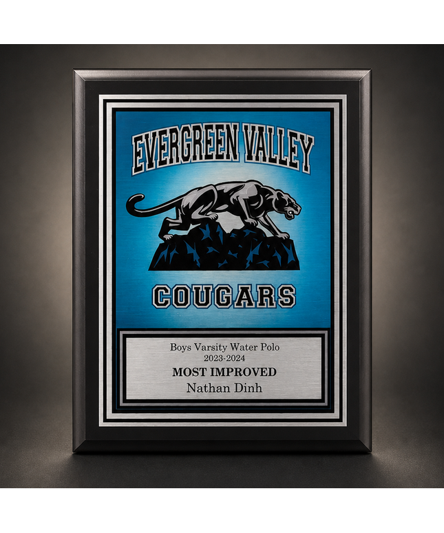 Alviso Vivicolor matte black plaque with vivicolor image sublimation